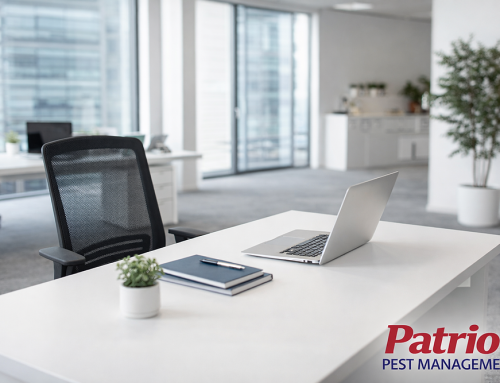 Do Office Buildings Require Regular Pest Control